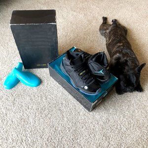 AIR JORDAN | Jordan 11 "Gamma" [Size: 11]